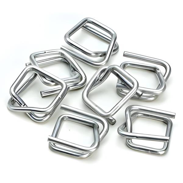 Buckle Clips